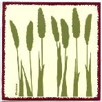 Foxtail millet as a decorative wall tile, trivet, or wall plaque. Can be used in a kitchen backsplash or bathroom tile.